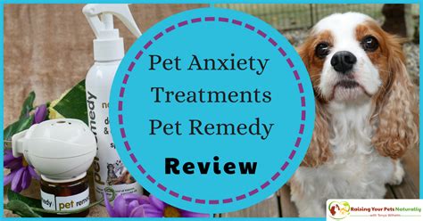 Dog And Cat Anxiety Treatment Pet Remedy Essential Oils Spray And