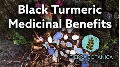 Black Turmeric Benefits Best Life And Health Tips And Tricks