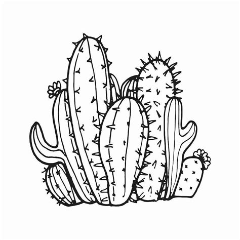 Printable Cactus Outline Printable Word Searches