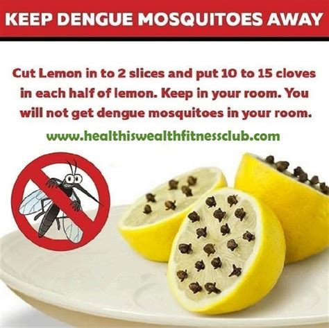 How To Keep Mosquitoes Away Naturally Natural Health Remedies