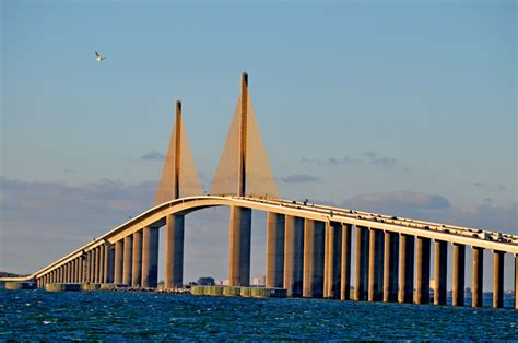 Things To Do In Tampa Bay