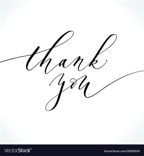 Thank You Modern Calligraphy Royalty Free Vector Image