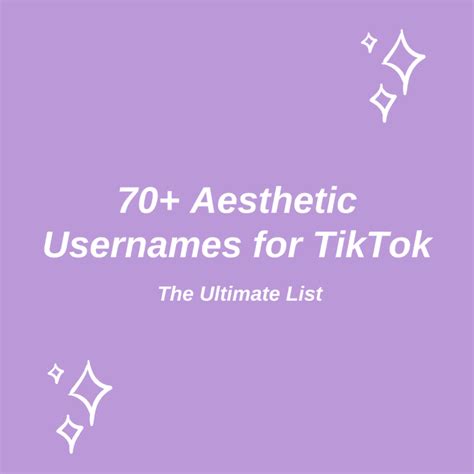 70 Aesthetic Usernames For Tiktok The Ultimate List Turbofuture
