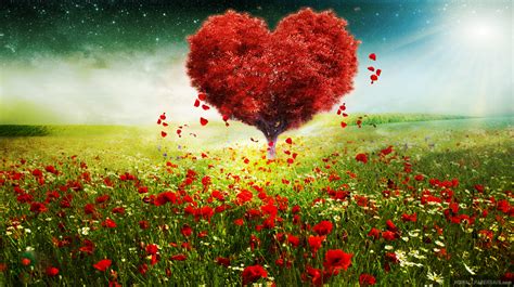 Love Nature Wallpapers 60 Background Pictures