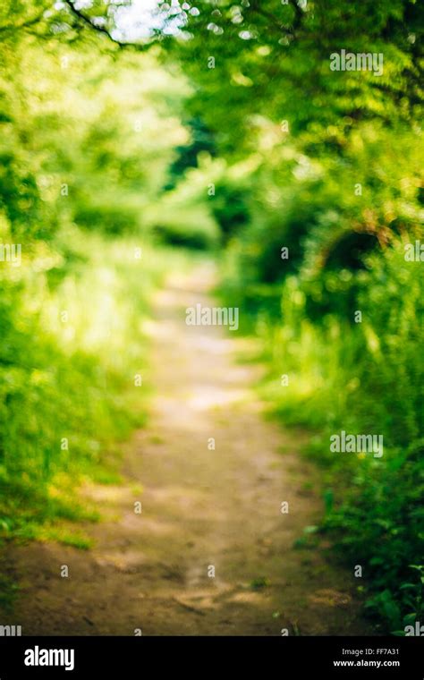 Blurred Abstract Bokeh Natural Background Of Walkway Path Lane In
