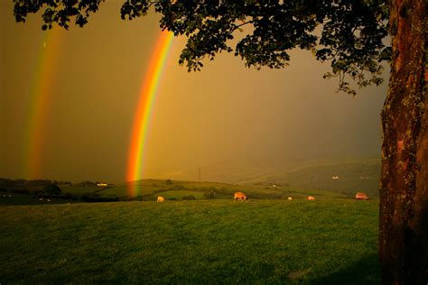 Rainbow And Shooting Star Rainbow And Shooting Star I Was Goi Flickr