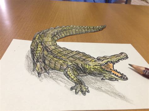 Image Result For Painting Of Florida Alligator Visual Illusion
