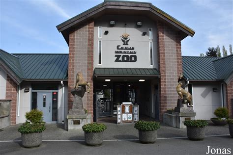 Les Zoos Dans Le Monde Cougar Mountain Zoo
