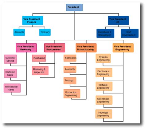 Functional Organizational Chart