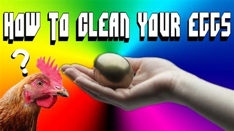How To Clean Your Eggs Youtube