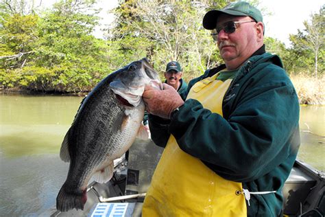 Mississippi Bass Forecast For 2016 Game And Fish
