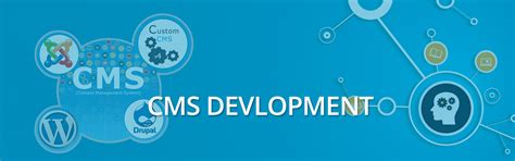 Cms Design And Development Tomar Web Services