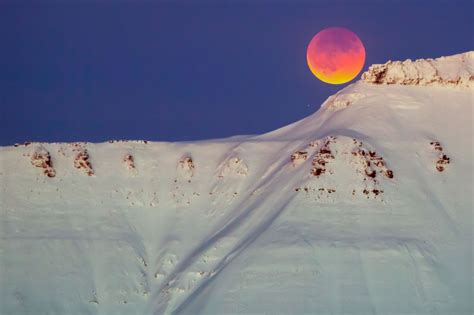 Super Blue Blood Moon In Pictures Stunning Images From Around The