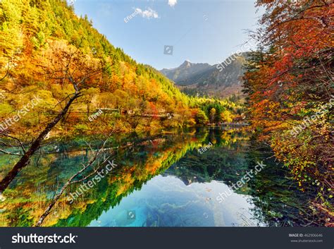 Amazing View Autumn Forest Reflected Five Stock Photo 462906646