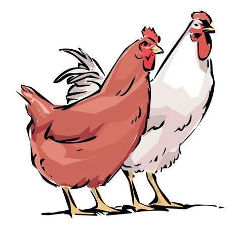 Clip Art Library Stock Free Rooster Clipart Hens Clip Art Library