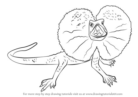 Draw a circle with a football shape in it for the eye. Learn How to Draw a Frilled Lizard (Lizards) Step by Step ...