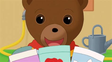 20min de Petit Ours Brun - Compilation 7 épisodes #6 - YouTube