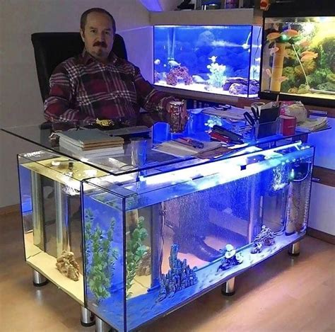 See more ideas about diy computer desk, computer desk, fun diys. This office desk made out of fish tanks http://bit.ly ...
