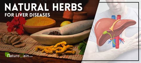 9 Powerful Herbs For Liver Diseases Treat Liver Problems Naturally