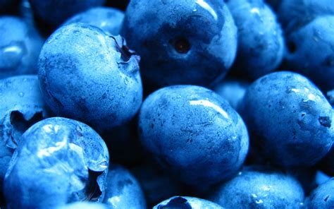Food Blueberry Hd Wallpaper