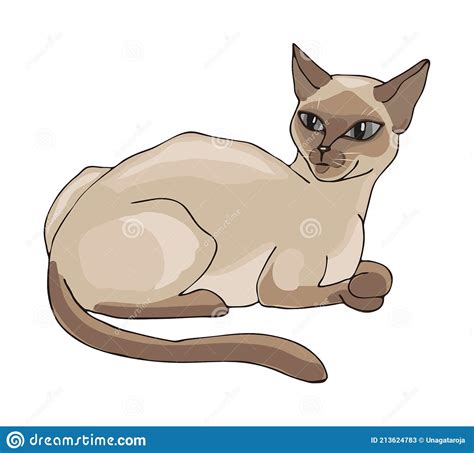 Laying Siamese Cat Vector Illustration Isolated On White Stock Vector