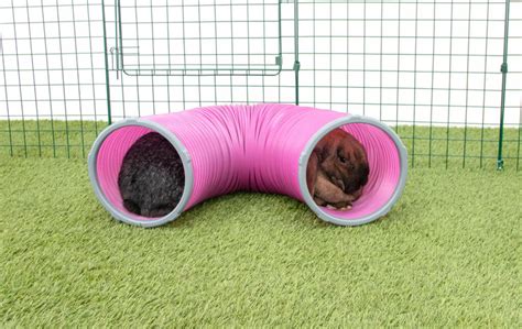 Rabbit Play Tunnel With Connector Rings Rabbit Run Accessories