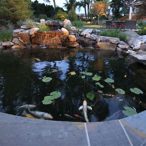There is nothing quite like a fish pond in a landscape built by a professional pond builder or installer. Koi Pond Design & Waterfall in Vienna Virginia | Surrounds ...