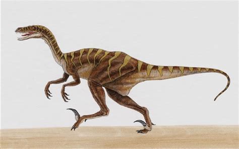 Ronald reagan riding a velociraptor by sharpwriter on deviantart. Best 58+ Velociraptor Wallpaper on HipWallpaper ...
