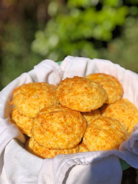 Easy Cheddar Cheese Biscuits Really Into This