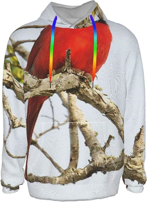 Nicokee Mens Pullover Hoodie Northern Cardinal Bird Sweatshirt Long