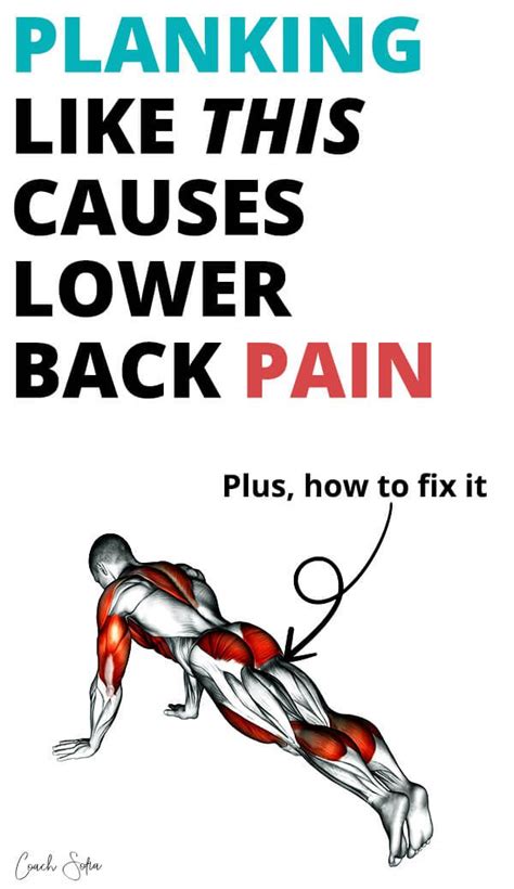 Intermediate back muscles and nerve supply: Pin on Exercises