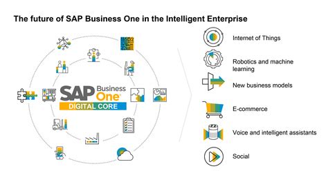 Sap Business One Road Map Datalab
