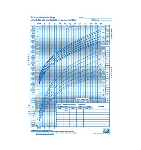 bmi chart templates  excel   premium