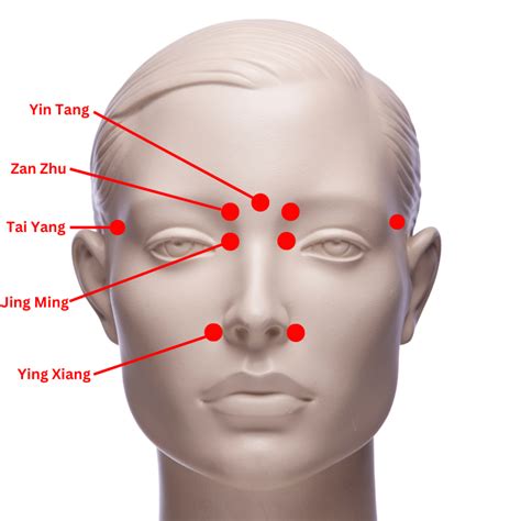 Acupressure Points For Sinusitis Tcm Simple My Xxx Hot Girl