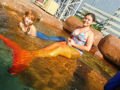 Life Is Kulayful Mermaid Experience At Manila Ocean Park