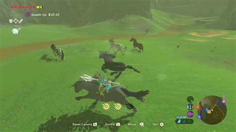 Horses And Mounts The Legend Of Zelda Breath Of The Wild Wiki Guide