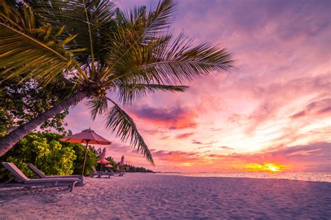 Tropical Beach Sunset Wallpaper And Background Image 1600x1067 Id