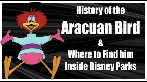 History Of The Aracuan Bird And Where To Find Him At Disney Youtube