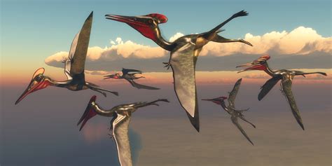 Pterosaurs Were Still Thriving Just Before Mass Extinction Event •