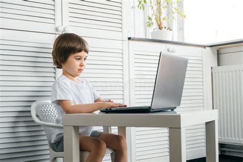 5 Year Boy Sit At The Table Uses Laptop Looking At The Screen Child