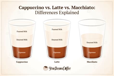 Cappuccino Vs Latte Vs Macchiato Differences Explained
