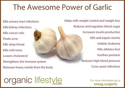 10 Amazing Benefits Of Eating Garlic On An Empty Stomach Benefits Of