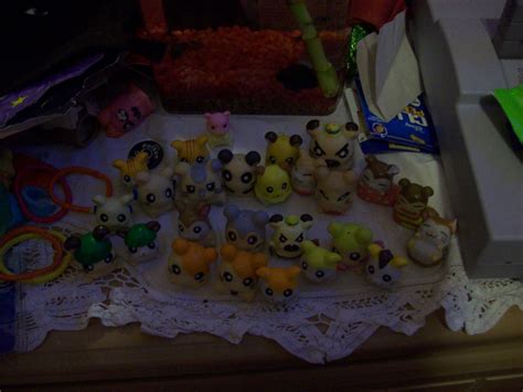 My Hamtaro Collection By Hamtarodramaclass On Deviantart