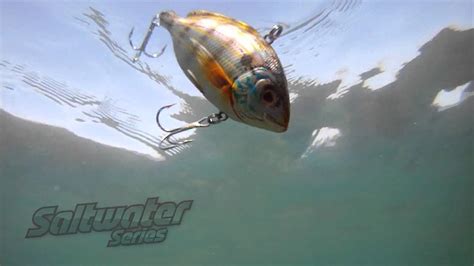 Livetarget Saltwater Series Pinfish Lipless Rattlebait Youtube