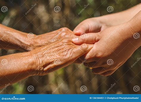 Helping Hands Care For The Elderly Concept Stock Image Image Of