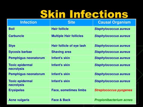 Ppt Bacterial Skin Infections Powerpoint Presentation Free Download