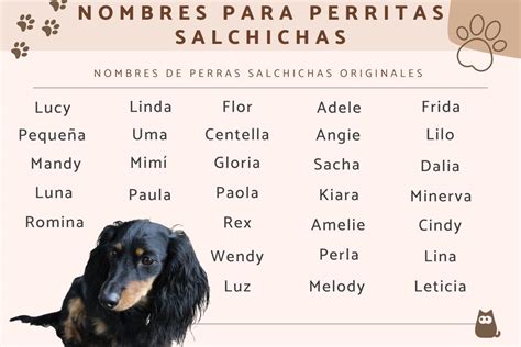 300 Nombres Para Perros Salchichas Machos Y Hembras ¡ideas Originales