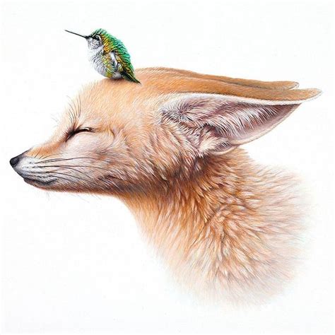 Pin By Ulrike Hochhausen On Fox Fox Painting Animal Illustration