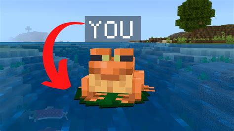 Pov Youre A Minecraft Frog Youtube