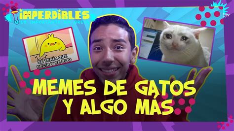 Don matteo steps in to help a father and son reconcile after the father is accused of assaulting the boy's friend. Analizando los mejores memes del 2019 con Mateo - YouTube